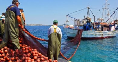 European Commission Seeks Common Fisher Training Standards