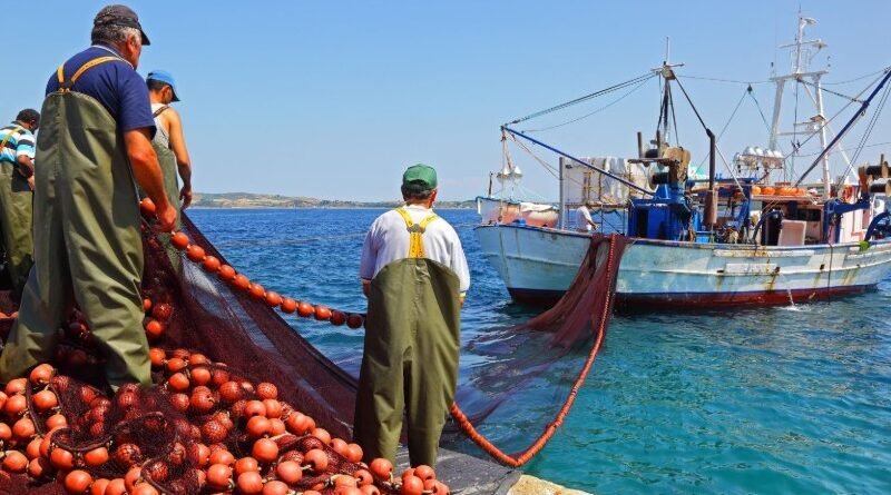 European Commission Seeks Common Fisher Training Standards