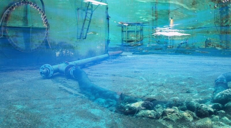 # Japan Strengthens Undersea Cable Security and Critical Infrastructure