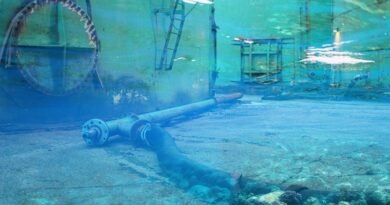 # Japan Strengthens Undersea Cable Security and Critical Infrastructure
