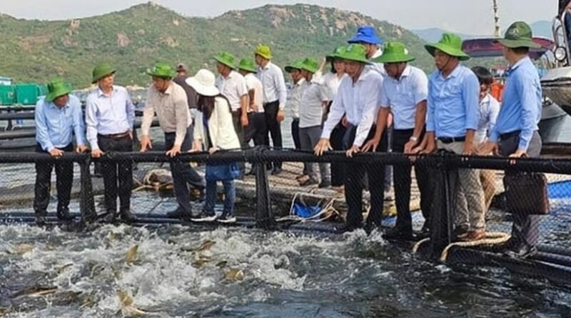 Vietnam Boosts High-Tech Offshore Aquaculture Investment