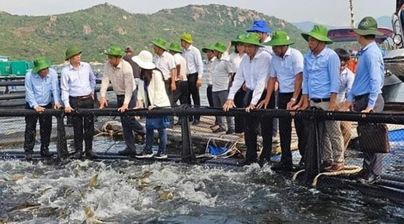 Vietnam Boosts High-Tech Offshore Aquaculture Investment