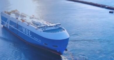 MOL Ocean Bulk Signs 25-Year Green Shipping Deal with Vale