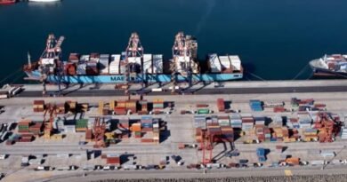 South Africa Approves Independent Port Authority to Improve Port Efficiency