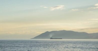 Two Dead After Cargo Ship Sinks in Black Sea Following Fire