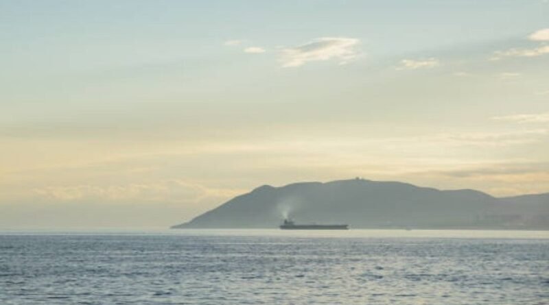 Two Dead After Cargo Ship Sinks in Black Sea Following Fire