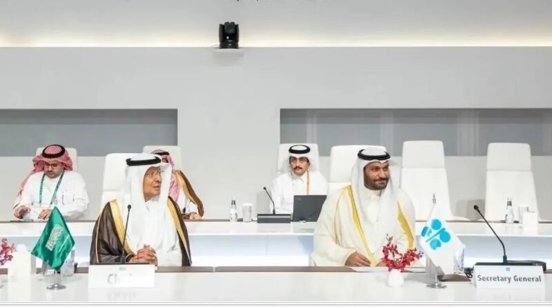 OPEC+ Warns of Rising Shipping Costs and Maritime Risks