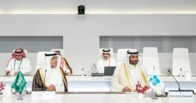 OPEC+ Warns of Rising Shipping Costs and Maritime Risks