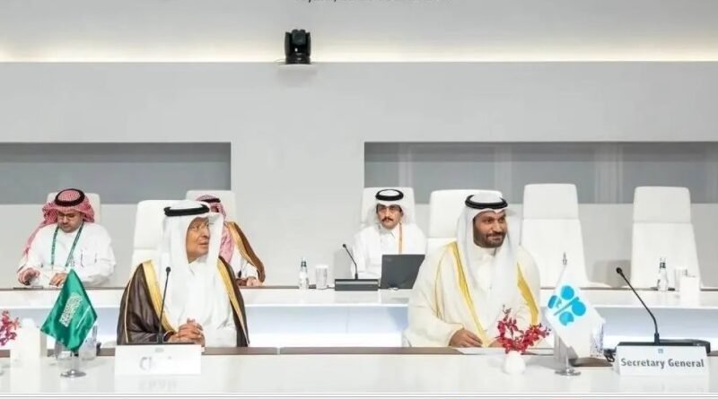 OPEC+ Warns of Rising Shipping Costs and Maritime Risks