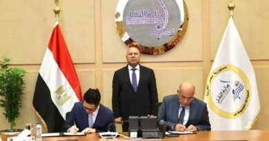 Alexandria Port dry bulk terminal development project with cargo berths and maritime logistics infrastructure in Egypt