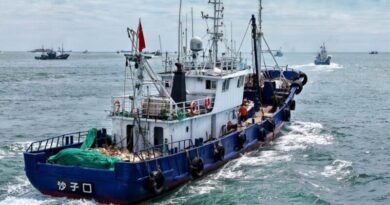 China and South Korea coast guard vessels conduct a joint maritime patrol against illegal fishing