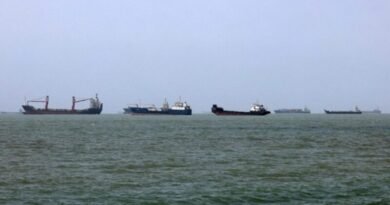 Oil tankers in the Strait of Hormuz amid rising maritime security tensions