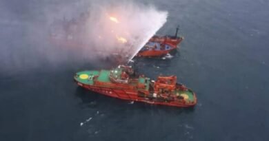 Cargo ships anchored in the Black Sea near Türkiye amid maritime security concerns