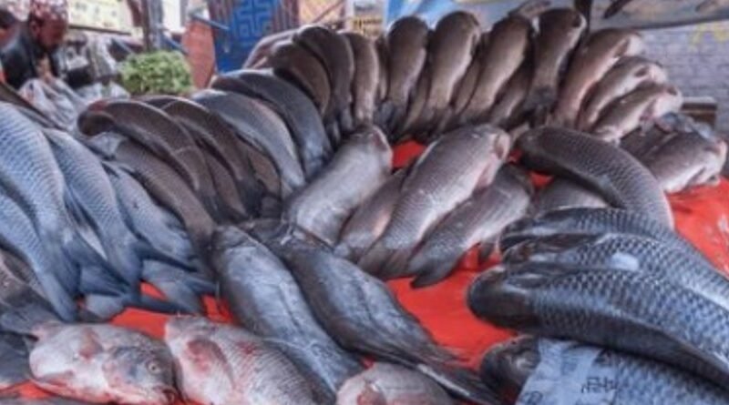 Pakistan Fish and Seafood Exports Reach $125.4m