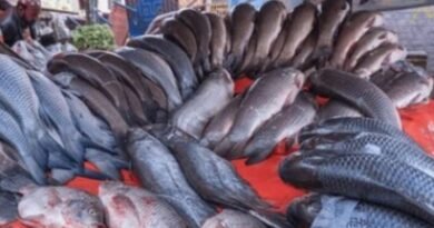 Pakistan Fish and Seafood Exports Reach $125.4m