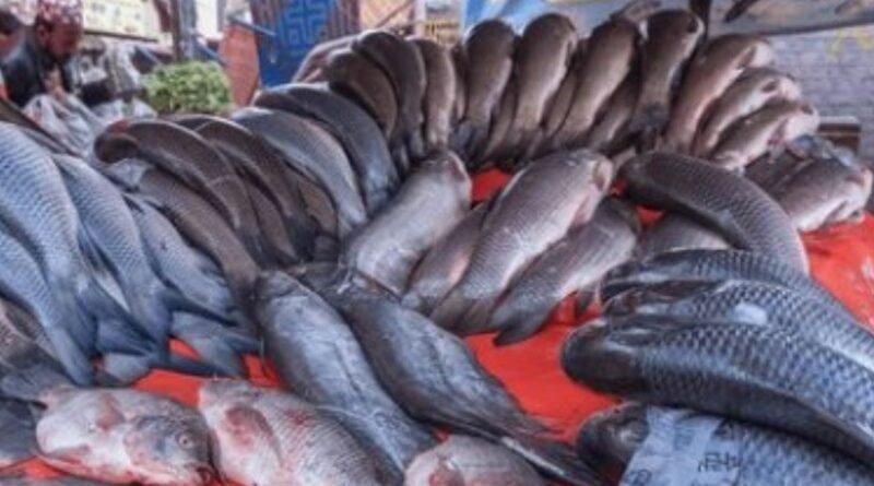 Pakistan Fish and Seafood Exports Reach $125.4m