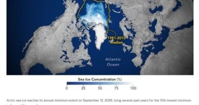 Arctic Sea Ice Hits 2026 Minimum, Shipping in Focus