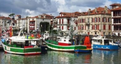 EU Approves €40.5M Fuel Aid for Transport and Fisheries